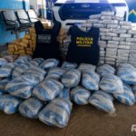 Força-tarefa encontra cerca de 250 kg de entorpecente do tipo skunk perto do parque de exposições em São Francisco do Guaporé