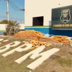 maconha - Morador de Seringueiras é preso em Rolim de Moura transportando 400kg de maconha e cocaína
