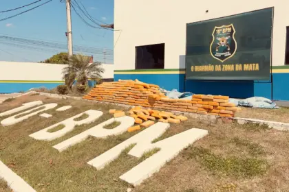 maconha - Morador de Seringueiras é preso em Rolim de Moura transportando 400kg de maconha e cocaína