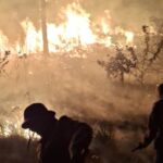 Rondônia soma 266 registros de fogo em agosto e áreas protegidas entram em alerta