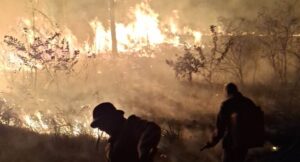 Rondônia soma 266 registros de fogo em agosto e áreas protegidas entram em alerta