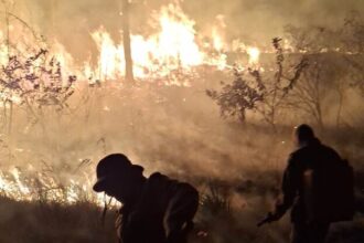Rondônia soma 266 registros de fogo em agosto e áreas protegidas entram em alerta