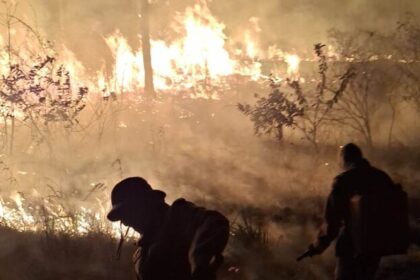 Rondônia soma 266 registros de fogo em agosto e áreas protegidas entram em alerta