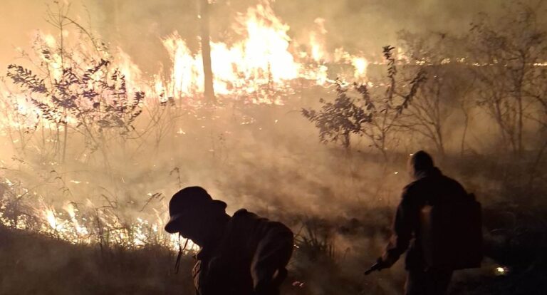 Rondônia soma 266 registros de fogo em agosto e áreas protegidas entram em alerta