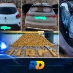Polícia Militar apreende cerca de 340 quilos de skunk na BR-429, em Seringueiras; dois são presos