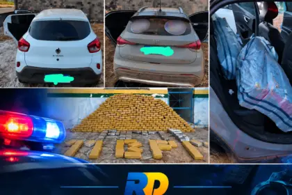 Polícia Militar apreende cerca de 340 quilos de skunk na BR-429, em Seringueiras; dois são presos