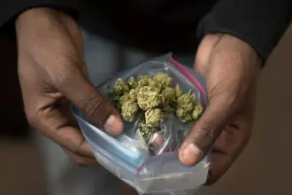 Homem é flagrado com munições e maconha em Hilux e diz que droga era de garota de programa em Vilhena