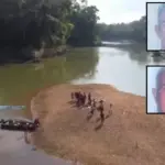 Irmãos morrem afogados no Rio Jamari durante reencontro com familiares após 40 anos