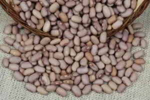 Estoques baixos e menor área plantada podem levar feijão-carioca a R$ 12 em 2027