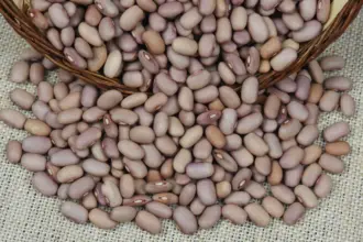 Estoques baixos e menor área plantada podem levar feijão-carioca a R$ 12 em 2027