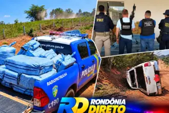Atualização - PM apreende 530 kg de skunk avaliados em R$ 10 milhões após perseguição e capotamento em Castanheiras