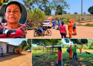 Atualização – Bombeiros usam cães em buscas por Marinalva na mata neste domingo em Santa Luzia D’Oeste