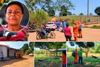 Atualização – Bombeiros usam cães em buscas por Marinalva na mata neste domingo em Santa Luzia D’Oeste