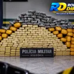 Policias Civil e Militar apreendem cerca de 245 kg de skunk na BR-429, em Seringueiras