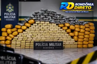 Policias Civil e Militar apreendem cerca de 245 kg de skunk na BR-429, em Seringueiras