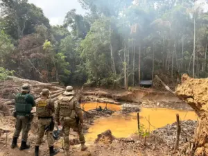 PF e Ibama combatem extração ilegal de minério em terras indígenas de Rondônia