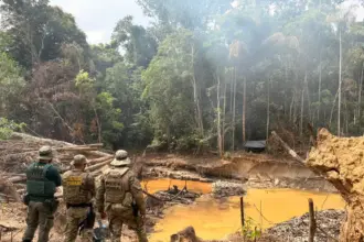 PF e Ibama combatem extração ilegal de minério em terras indígenas de Rondônia