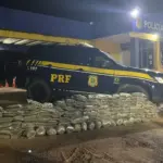 PRF apreende mais de 200 kg de “supermaconha” na BR-364 em Porto Velho