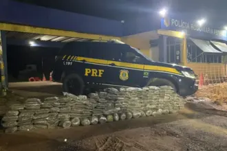 PRF apreende mais de 200 kg de “supermaconha” na BR-364 em Porto Velho