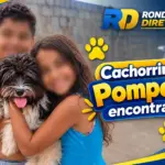 Pompom é encontrada após mobilização e volta para casa em Rolim de Moura