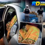 DRACO2 e PRF apreendem 182 kg de skunk após perseguição de 15 km em Nova Brasilândia D’Oeste