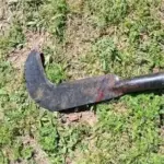 Briga entre vizinhos termina com homem ferido por golpe de foice em Alta Floresta do Oeste