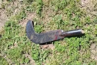 Briga entre vizinhos termina com homem ferido por golpe de foice em Alta Floresta do Oeste