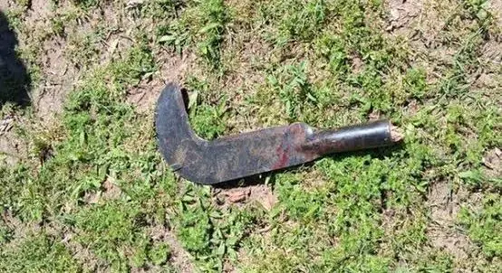 Briga entre vizinhos termina com homem ferido por golpe de foice em Alta Floresta do Oeste