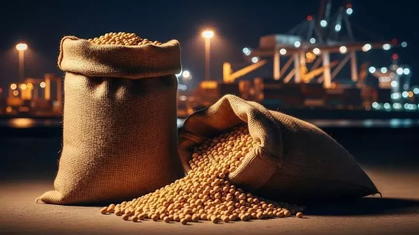 China reduz compras de soja em agosto, mas importações avançam no acumulado de 2026