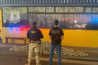 PRF apreende 499 munições de fuzil e 104 kg de skunk escondidos em motores em Vilhena