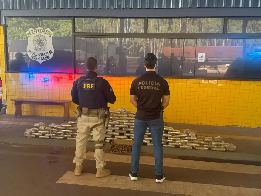 PRF apreende 499 munições de fuzil e 104 kg de skunk escondidos em motores em Vilhena