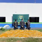 Operação apreende quase 415 kg de drogas e prende suspeito em Rolim de Moura