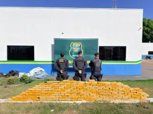 Operação apreende quase 415 kg de drogas e prende suspeito em Rolim de Moura