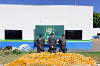 Operação apreende quase 415 kg de drogas e prende suspeito em Rolim de Moura