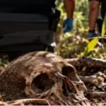 Homem procura casca de árvore e encontra ossada humana em mata de Costa Marques