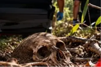 Homem procura casca de árvore e encontra ossada humana em mata de Costa Marques