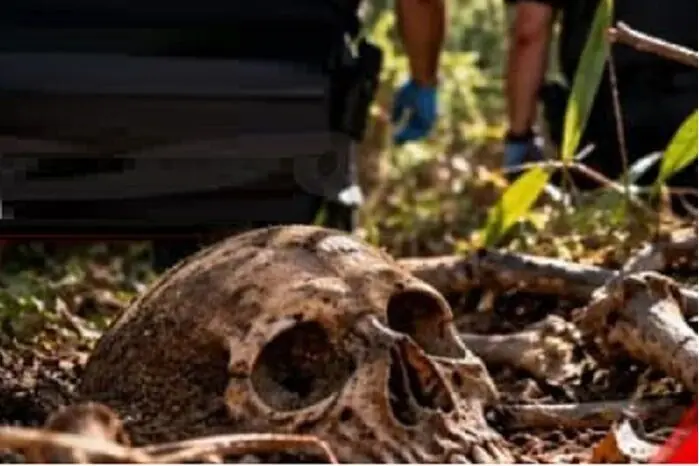 Homem procura casca de árvore e encontra ossada humana em mata de Costa Marques